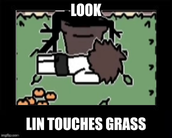 touch grass | LOOK; LIN TOUCHES GRASS | image tagged in touchgrass | made w/ Imgflip meme maker