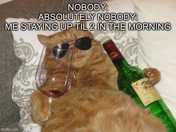 Funny Cat Birthday | NOBODY:
ABSOLUTELY NOBODY:
ME STAYING UP TIL 2 IN THE MORNING | image tagged in funny cat birthday | made w/ Imgflip meme maker