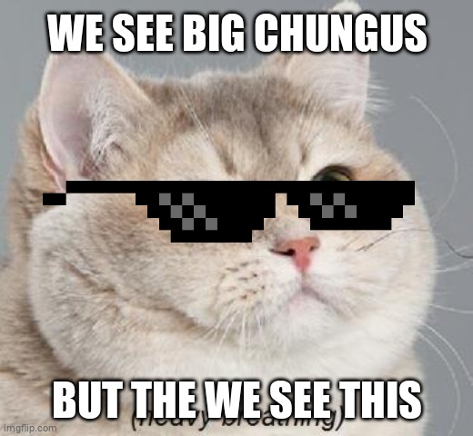 Fat The Cat |  WE SEE BIG CHUNGUS; BUT THE WE SEE THIS | image tagged in memes,heavy breathing cat | made w/ Imgflip meme maker