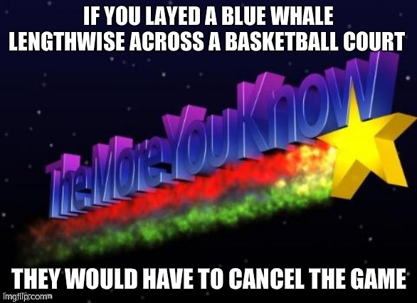 the more you know | IF YOU LAYED A BLUE WHALE LENGTHWISE ACROSS A BASKETBALL COURT; THEY WOULD HAVE TO CANCEL THE GAME | image tagged in the more you know | made w/ Imgflip meme maker