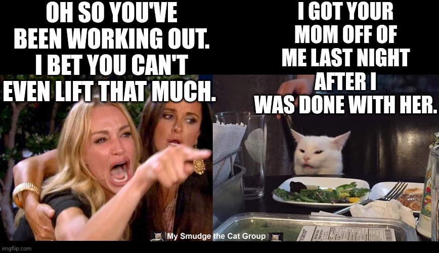 OH SO YOU'VE BEEN WORKING OUT. I BET YOU CAN'T EVEN LIFT THAT MUCH. I GOT YOUR MOM OFF OF ME LAST NIGHT AFTER I WAS DONE WITH HER. | image tagged in smudge the cat,woman yelling at cat | made w/ Imgflip meme maker