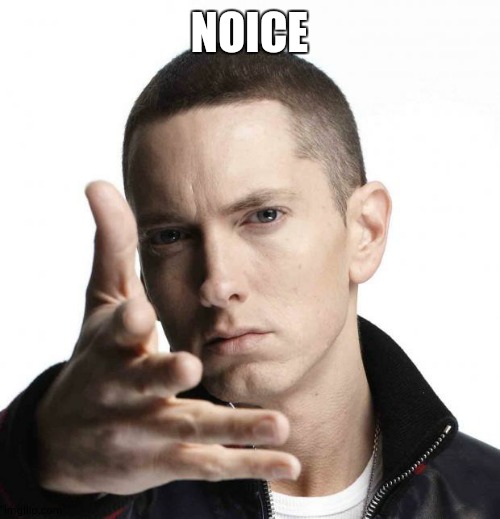 Eminem video game logic | NOICE | image tagged in eminem video game logic | made w/ Imgflip meme maker