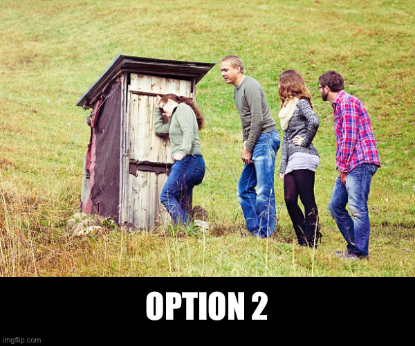 OPTION 2 | made w/ Imgflip meme maker