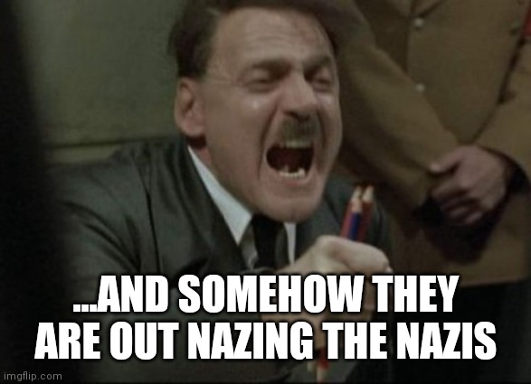 Hitler Downfall | ...AND SOMEHOW THEY ARE OUT NAZING THE NAZIS | image tagged in hitler downfall | made w/ Imgflip meme maker
