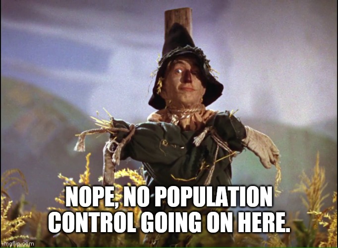 Wizard of Oz Scarecrow which way | NOPE, NO POPULATION CONTROL GOING ON HERE. | image tagged in wizard of oz scarecrow which way | made w/ Imgflip meme maker