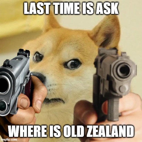 doge wants to know wher is old zealand | LAST TIME IS ASK; WHERE IS OLD ZEALAND | image tagged in doge | made w/ Imgflip meme maker