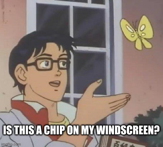 Is This A Pigeon Meme | IS THIS A CHIP ON MY WINDSCREEN? | image tagged in memes,is this a pigeon | made w/ Imgflip meme maker