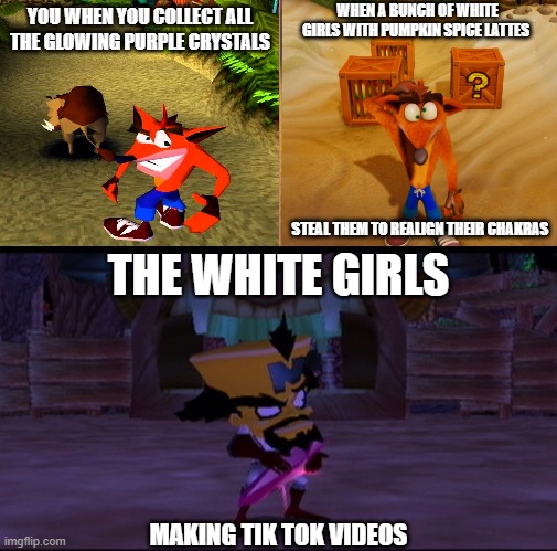 Ah yes, white girls with pumpkin spice lattes and chai teas, the arch rival and natural predators of crystal collecting furries. | WHEN A BUNCH OF WHITE GIRLS WITH PUMPKIN SPICE LATTES; YOU WHEN YOU COLLECT ALL THE GLOWING PURPLE CRYSTALS; STEAL THEM TO REALIGN THEIR CHAKRAS; THE WHITE GIRLS; MAKING TIK TOK VIDEOS | image tagged in crash bandicoot,crystal,new age,white girls,tik tok,pumpkin spice | made w/ Imgflip meme maker
