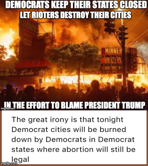 Democrats...Burning THEMSELVES down! | image tagged in malcontents,spoiled brats,sissyfied honey bun,woke,asleep | made w/ Imgflip meme maker
