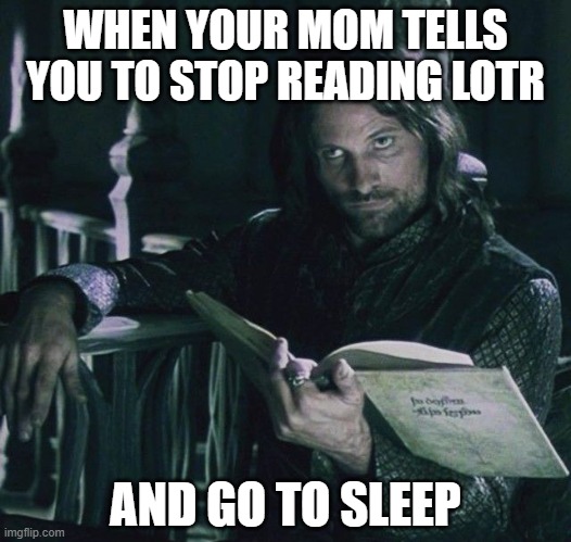 literally me every single night | WHEN YOUR MOM TELLS YOU TO STOP READING LOTR; AND GO TO SLEEP | image tagged in aragorn,lotr,lord of the rings,reading,sleep,stop reading the tags | made w/ Imgflip meme maker