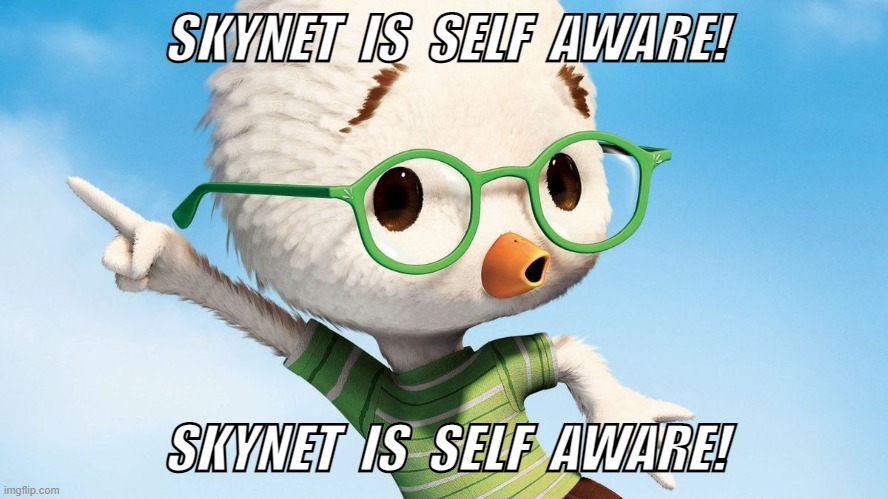 Skynet | SKYNET  IS  SELF  AWARE! SKYNET  IS  SELF  AWARE! | image tagged in skynet,chicken little | made w/ Imgflip meme maker
