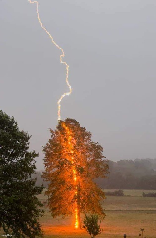 Lightning striking treePhoto credit: Debbie Parker | image tagged in lightning,bolt,tree,awesome,photography,perfectly timed photo | made w/ Imgflip meme maker