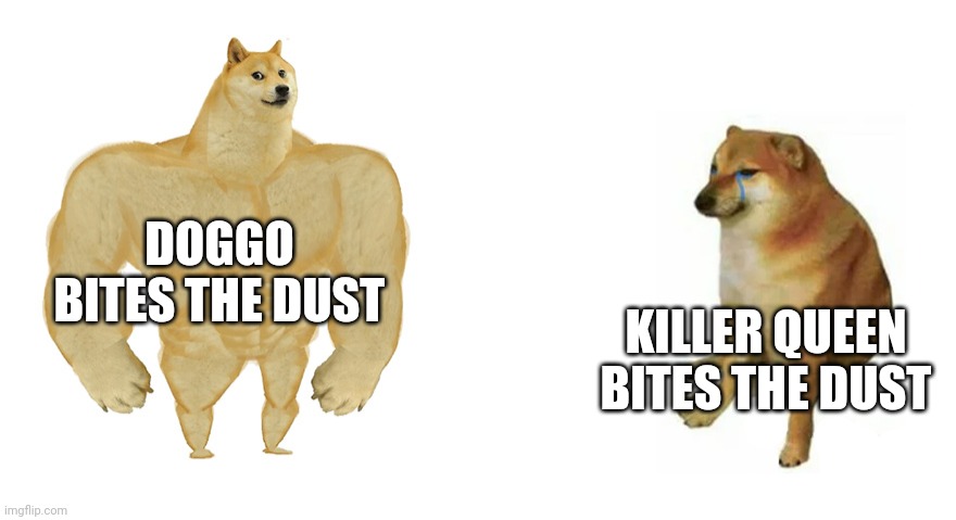 Buff Doge vs Crying Cheems | DOGGO BITES THE DUST KILLER QUEEN BITES THE DUST | image tagged in buff doge vs crying cheems | made w/ Imgflip meme maker