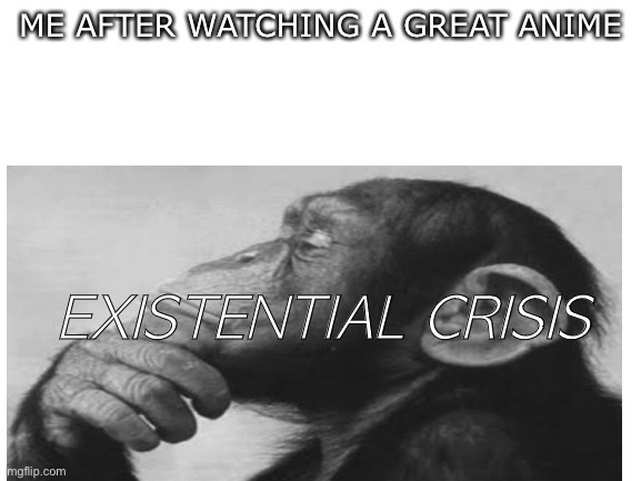 Finished my 13th anime, One Punch Man! |  ME AFTER WATCHING A GREAT ANIME; EXISTENTIAL CRISIS | image tagged in anime meme,monkey,existence | made w/ Imgflip meme maker
