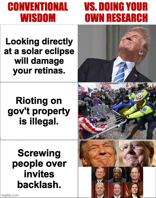 You may not like what you find. | CONVENTIONAL         VS. DOING YOUR
       WISDOM                OWN RESEARCH; Looking directly
at a solar eclipse
will damage
your retinas. Rioting on
gov't property
is illegal. Screwing
people over
invites
backlash. | image tagged in memes,doing your own research,scumbag republicans | made w/ Imgflip meme maker