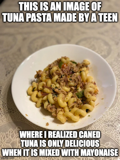 Tuna Pasta | THIS IS AN IMAGE OF TUNA PASTA MADE BY A TEEN; WHERE I REALIZED CANED TUNA IS ONLY DELICIOUS WHEN IT IS MIXED WITH MAYONAISE | image tagged in noodles,memes,food | made w/ Imgflip meme maker