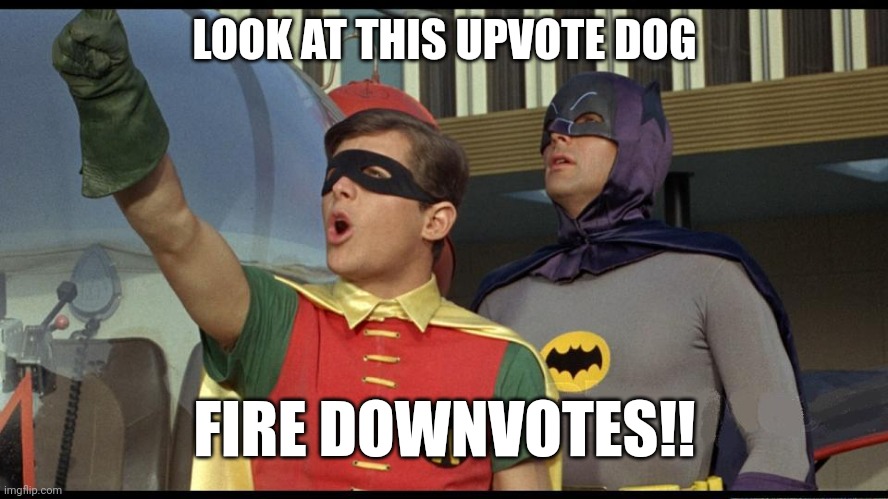 Look up there | LOOK AT THIS UPVOTE DOG FIRE DOWNVOTES!! | image tagged in look up there | made w/ Imgflip meme maker