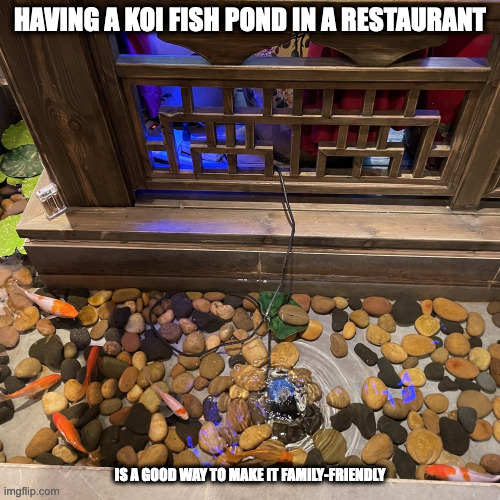 Koi Pond in Restaurant | HAVING A KOI FISH POND IN A RESTAURANT; IS A GOOD WAY TO MAKE IT FAMILY-FRIENDLY | image tagged in koi,restaurant,memes | made w/ Imgflip meme maker