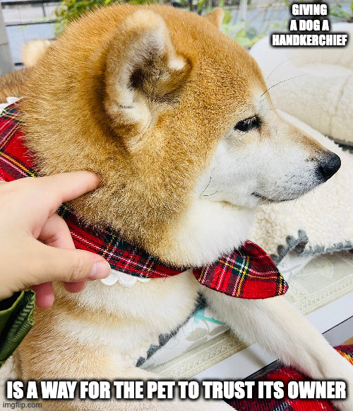 Shiba With Hankerchief | GIVING A DOG A HANDKERCHIEF; IS A WAY FOR THE PET TO TRUST ITS OWNER | image tagged in dogs,hankerchief,memes | made w/ Imgflip meme maker