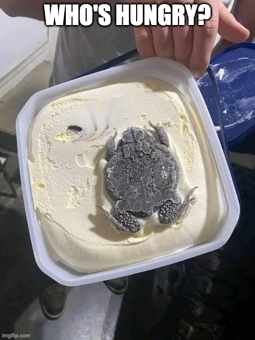 frog flavoured ice cream, yeah that's real | WHO'S HUNGRY? | image tagged in delicious | made w/ Imgflip meme maker