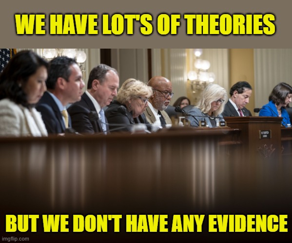 Jan 6th, No hat or cattle, but alot of sheep... | WE HAVE LOT'S OF THEORIES; BUT WE DON'T HAVE ANY EVIDENCE | image tagged in jan 6th commitee | made w/ Imgflip meme maker