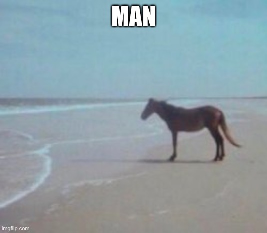 Horse on Beach Man | MAN | image tagged in horse on beach man | made w/ Imgflip meme maker