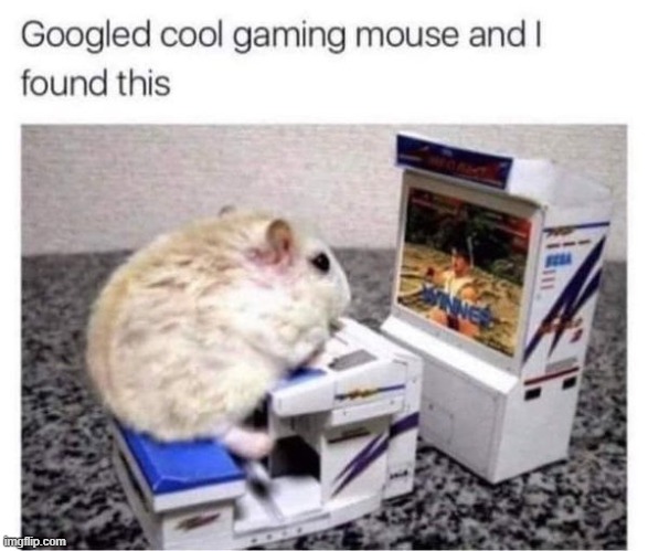 googled cool gaming mouse | image tagged in mouse,gaming | made w/ Imgflip meme maker