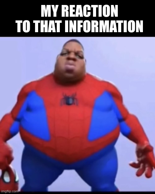 My reaction: | MY REACTION TO THAT INFORMATION | image tagged in ratio,my reaction to that information | made w/ Imgflip meme maker