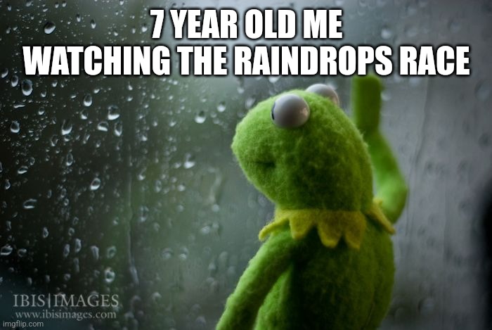 kermit window | 7 YEAR OLD ME WATCHING THE RAINDROPS RACE | image tagged in kermit window | made w/ Imgflip meme maker