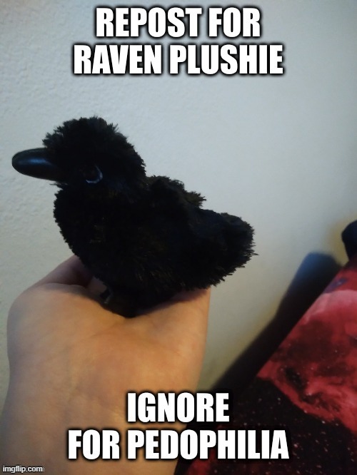 I reposted it again because Lunatic Cultist can't cus they're on a phone and the phone won't let them repost it | made w/ Imgflip meme maker