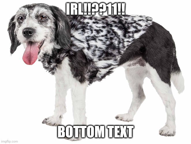 IRL!!??11!! BOTTOM TEXT | made w/ Imgflip meme maker