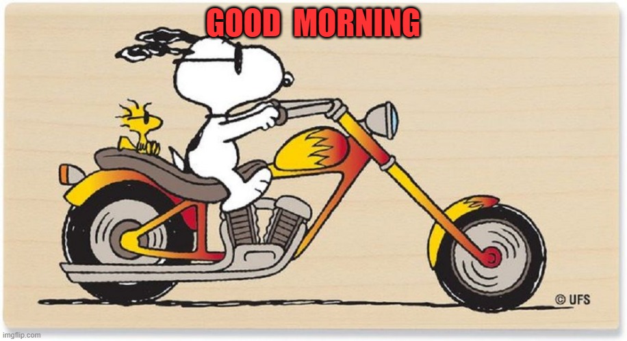 good morning | GOOD  MORNING | image tagged in snoopy | made w/ Imgflip meme maker