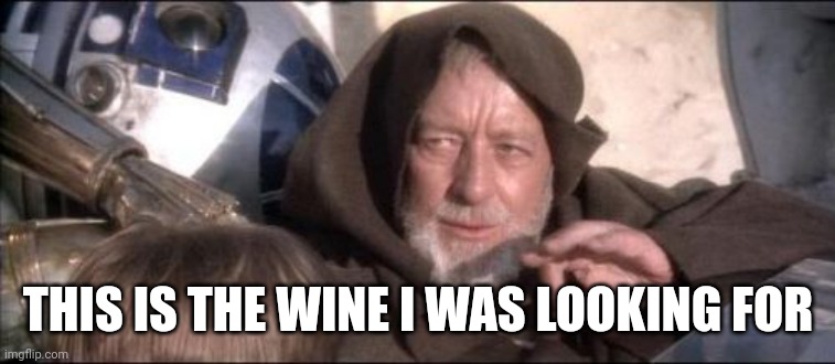 These Aren't The Droids You Were Looking For Meme | THIS IS THE WINE I WAS LOOKING FOR | image tagged in memes,these aren't the droids you were looking for | made w/ Imgflip meme maker