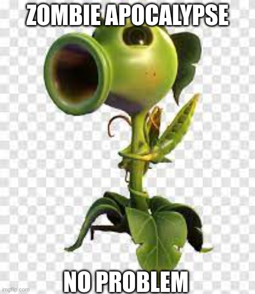 ZOMBIE APOCALYPSE; NO PROBLEM | image tagged in funny memes | made w/ Imgflip meme maker
