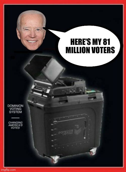 HERE'S MY 81 MILLION VOTERS; ____- | made w/ Imgflip meme maker