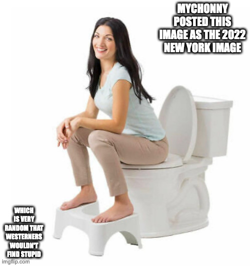 Woman WIth Toliet Stool | MYCHONNY POSTED THIS IMAGE AS THE 2022 NEW YORK IMAGE; WHICH IS VERY RANDOM THAT WESTERNERS WOULDN'T FIND STUPID | image tagged in youtube,mychonny,toliet,memes | made w/ Imgflip meme maker