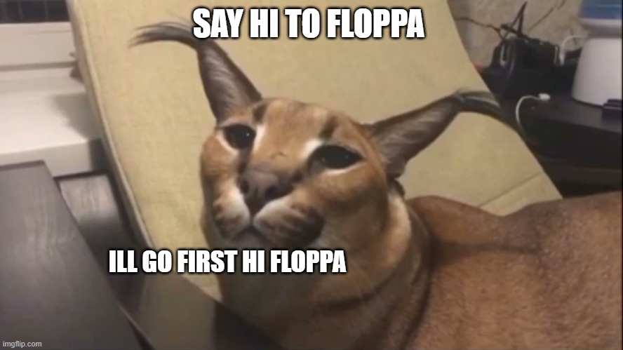 you gonna say hi to floppa? | SAY HI TO FLOPPA; ILL GO FIRST HI FLOPPA | image tagged in floppa | made w/ Imgflip meme maker
