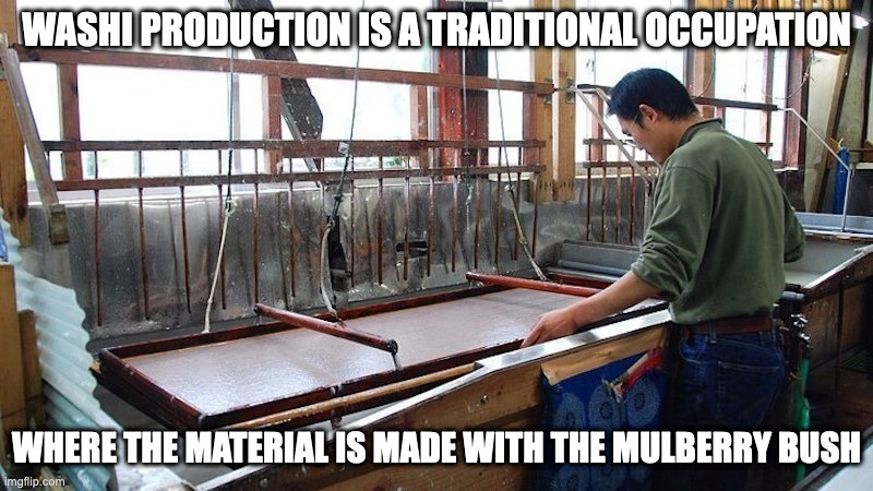 Washi | WASHI PRODUCTION IS A TRADITIONAL OCCUPATION; WHERE THE MATERIAL IS MADE WITH THE MULBERRY BUSH | image tagged in paper,memes | made w/ Imgflip meme maker