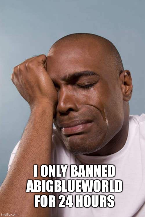 Black Guy Crying | I ONLY BANNED ABIGBLUEWORLD FOR 24 HOURS | image tagged in black guy crying | made w/ Imgflip meme maker