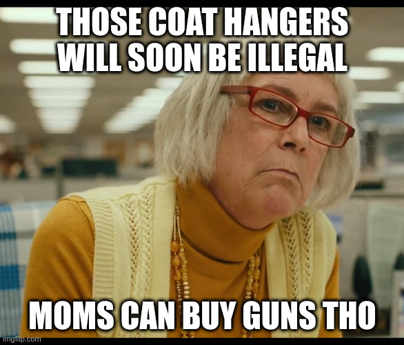 Auditor Bitch | THOSE COAT HANGERS WILL SOON BE ILLEGAL; MOMS CAN BUY GUNS THO | image tagged in auditor bitch | made w/ Imgflip meme maker