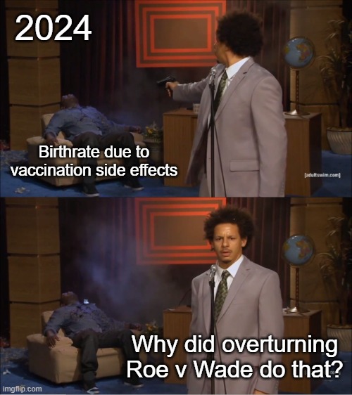 (taps head) Always make sure your response to an emergency creates another emergency |  2024; Birthrate due to vaccination side effects; Why did overturning Roe v Wade do that? | image tagged in memes,who killed hannibal | made w/ Imgflip meme maker