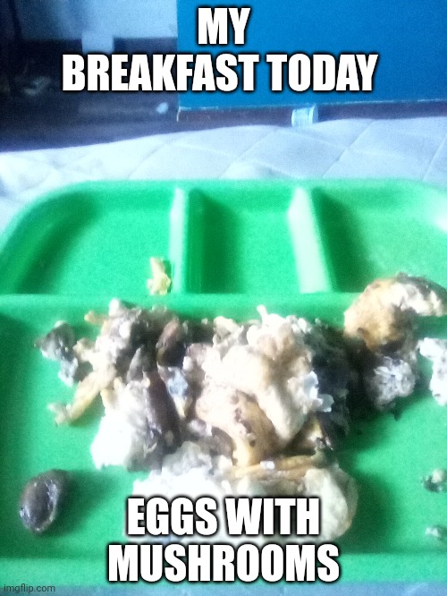 Yum | MY BREAKFAST TODAY; EGGS WITH MUSHROOMS | image tagged in eggs | made w/ Imgflip meme maker