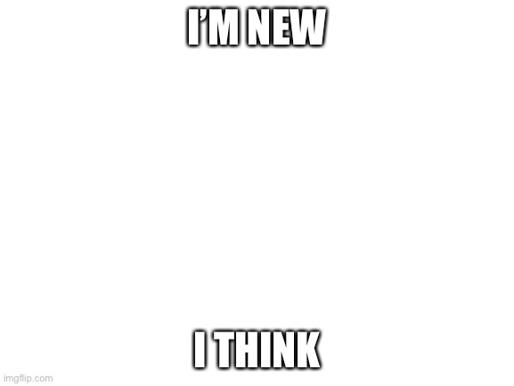 Idk | I’M NEW; I THINK | image tagged in blank white template | made w/ Imgflip meme maker