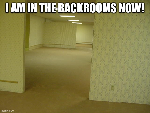 Time to find those nerf darts | I AM IN THE BACKROOMS NOW! | image tagged in the backrooms,nerf,darts,backrooms | made w/ Imgflip meme maker