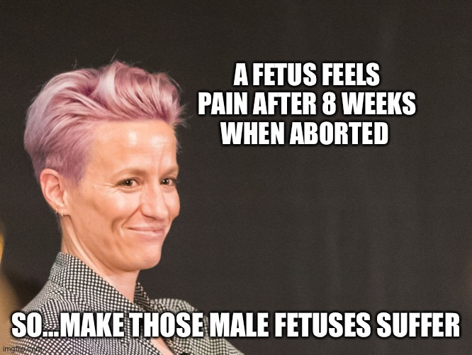 Happy happy joy. Joy | A FETUS FEELS
PAIN AFTER 8 WEEKS
WHEN ABORTED; SO…MAKE THOSE MALE FETUSES SUFFER | image tagged in pix y satan satan,happy,funny,memes,upvote | made w/ Imgflip meme maker