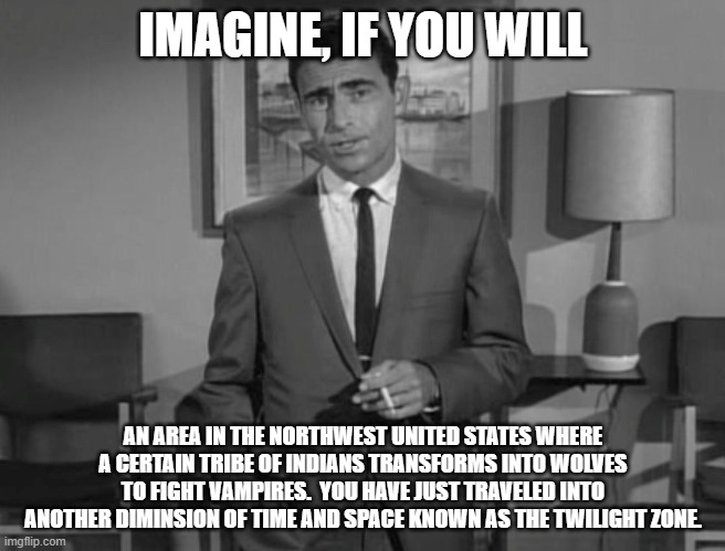 Pun With Memes | IMAGINE, IF YOU WILL; AN AREA IN THE NORTHWEST UNITED STATES WHERE A CERTAIN TRIBE OF INDIANS TRANSFORMS INTO WOLVES TO FIGHT VAMPIRES.  YOU HAVE JUST TRAVELED INTO ANOTHER DIMINSION OF TIME AND SPACE KNOWN AS THE TWILIGHT ZONE. | image tagged in rod serling imagine if you will | made w/ Imgflip meme maker