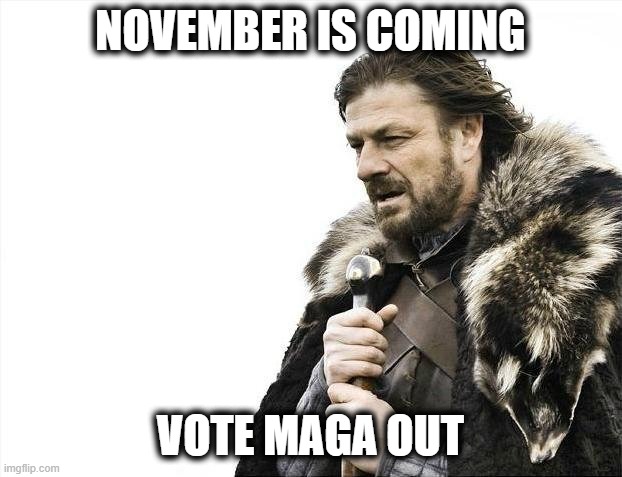 Time to saturate the House and Senate with moderates. | NOVEMBER IS COMING; VOTE MAGA OUT | image tagged in memes,brace yourselves x is coming,vote,politics,lock him up,freedom | made w/ Imgflip meme maker