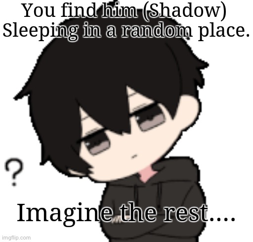 Random post #3 Rp becuz I'm bored (It's Shadow lol)(all things are allowed except cars) | You find him (Shadow) 
Sleeping in a random place. Imagine the rest.... | image tagged in shadow what | made w/ Imgflip meme maker