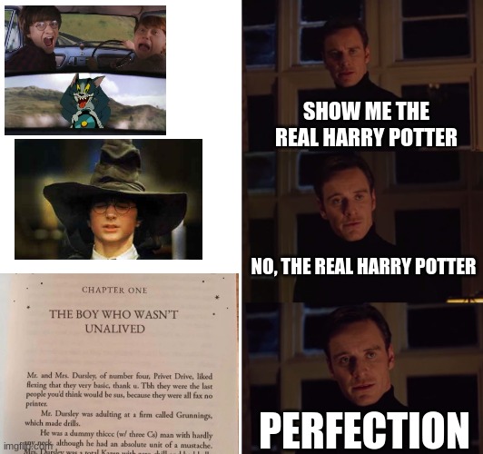 perfection | SHOW ME THE REAL HARRY POTTER NO, THE REAL HARRY POTTER PERFECTION | image tagged in perfection | made w/ Imgflip meme maker