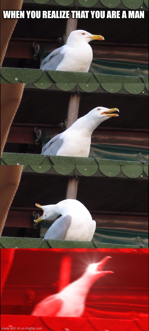 same | WHEN YOU REALIZE THAT YOU ARE A MAN | image tagged in memes,inhaling seagull | made w/ Imgflip meme maker